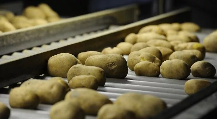 Potatoes in a warehouse