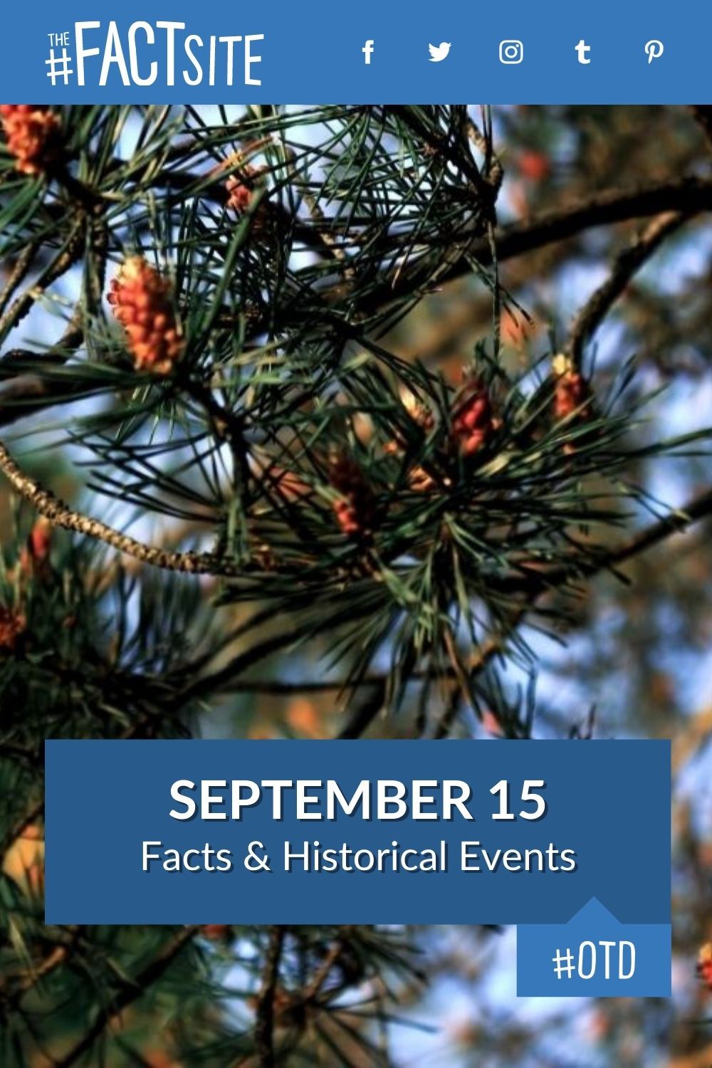 September 15: Facts & Historical Events On This Day