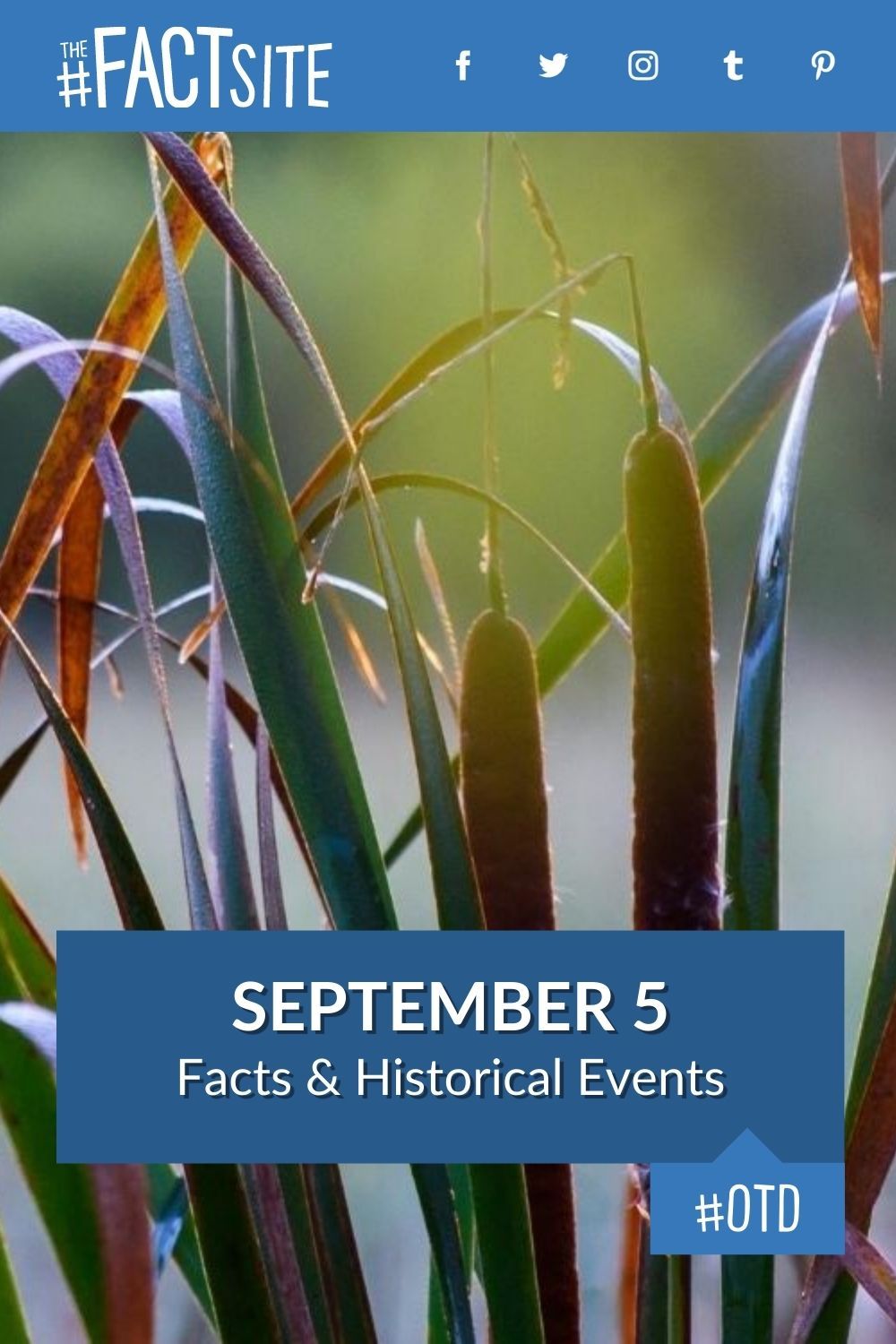 September 5 Facts & Historical Events On This Day The Fact Site