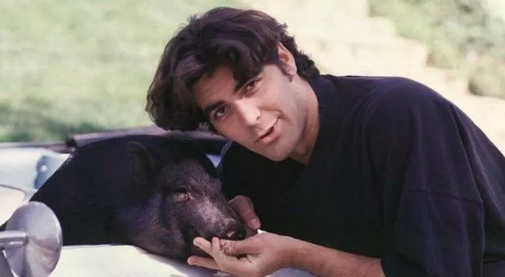 An old photo of George Clooney with his pet pig