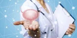 What does the bladder actually do?