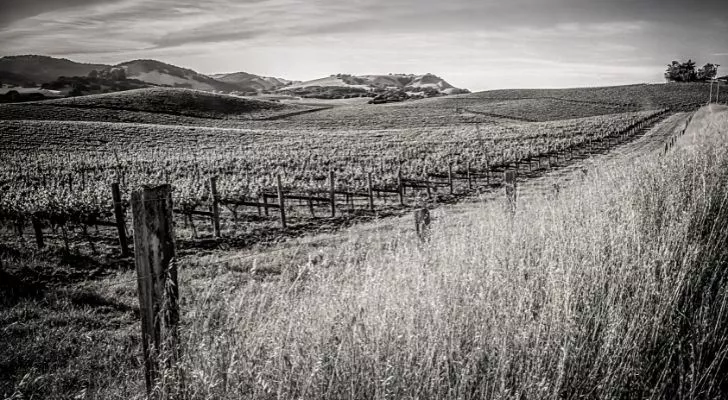 California countryside in black and white