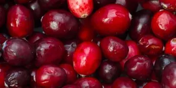 Health benefits of eating cranberries