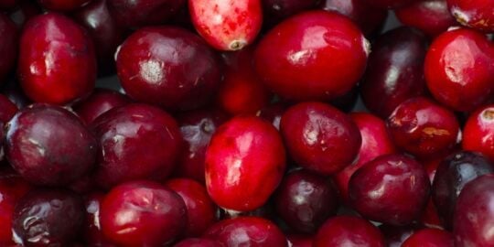 6 Health Benefits of Eating Cranberries