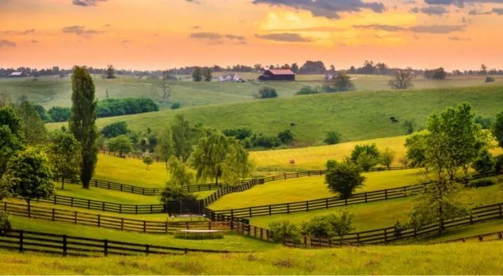 Scenic rolling grassy fields