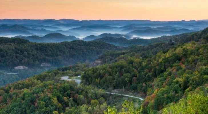Rich green landscape of forest land and a river in Kentucky