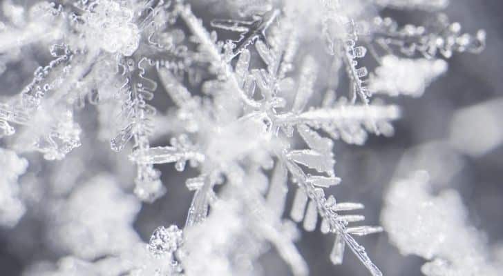 Many large snowflakes