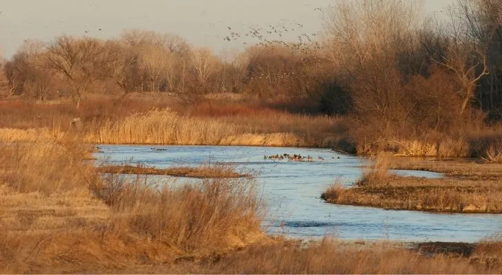 The Platte River