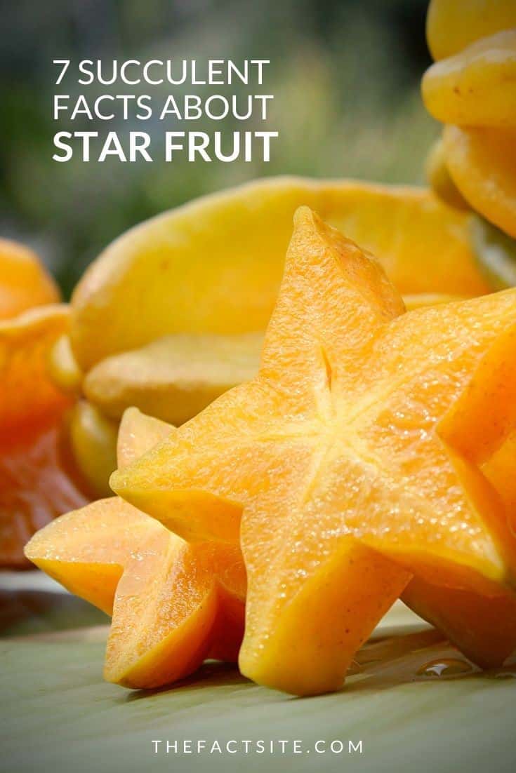 7 Succulent Facts About Star Fruit The Fact Site