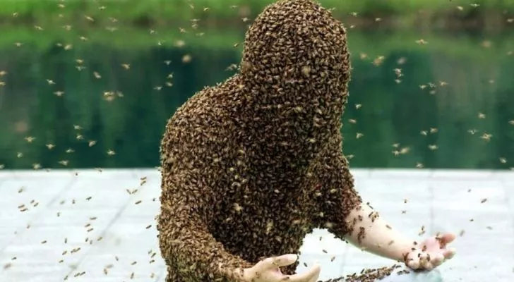 Ruan Liangming covered in bees