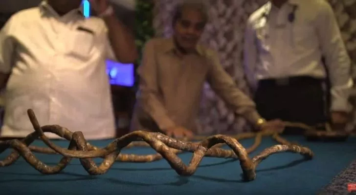 Shridhar Chillal's super long nails on a table