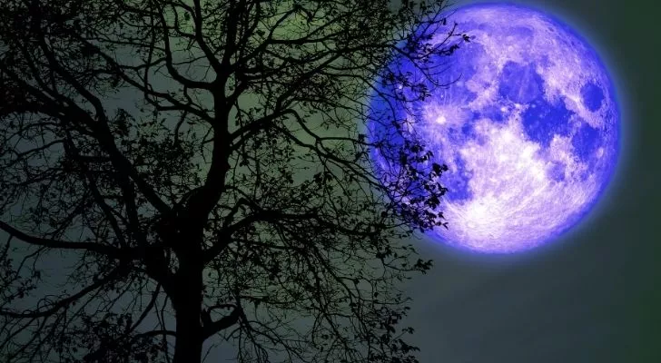 Buck moon behind a tree