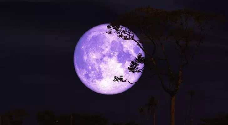 The buck moon lit up brightly in the sky