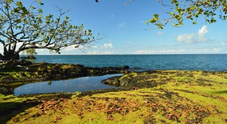 A photo of a beautiful Hawaiian landscape