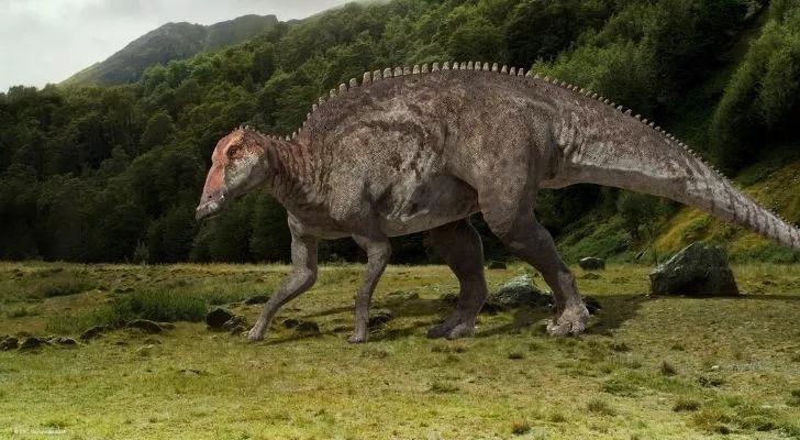 The might edmontosaurus dinosaur