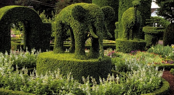 Lots of animals cut out of bushes at the Green Animals Topiary Gardens