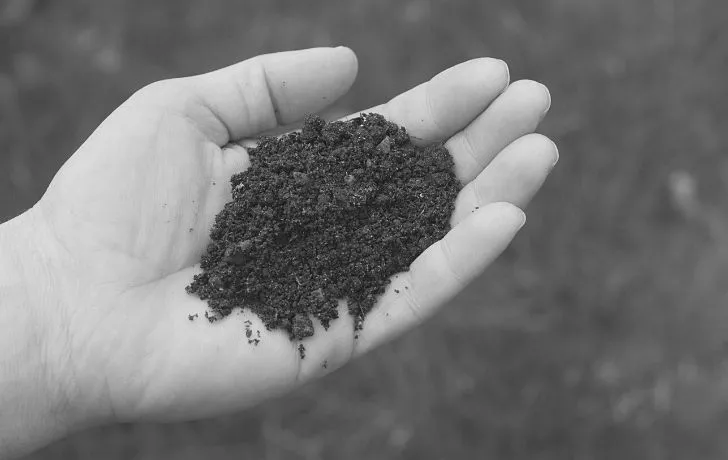 A farmer holding soil