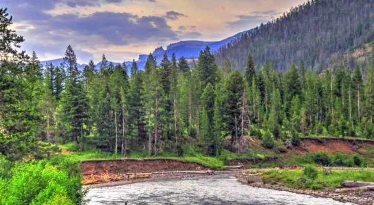 Yellowstone in Wyoming