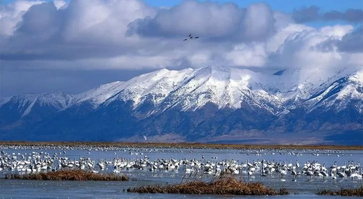 Salt lakes in Utah