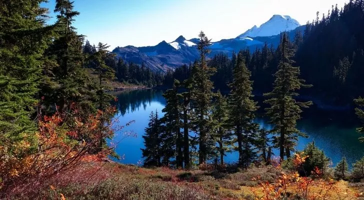 Beautiful forest land and a lake in Washington state