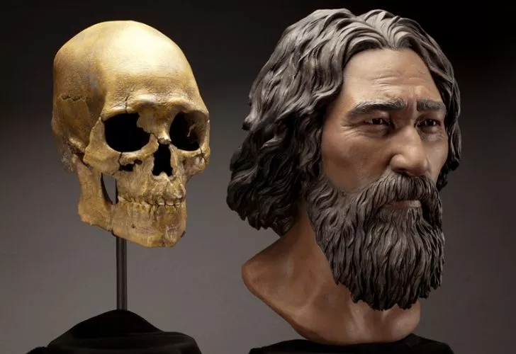 Kennewick Man's skull and a model of what he might have looked like