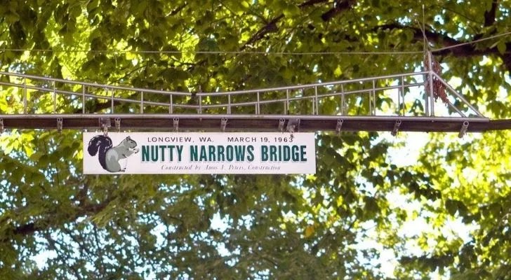 Nutty Narrows squirrel bridge