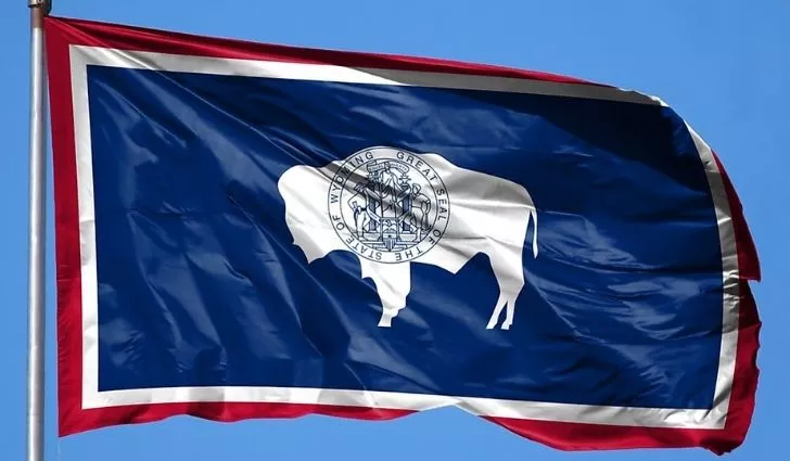 The Wyoming flag