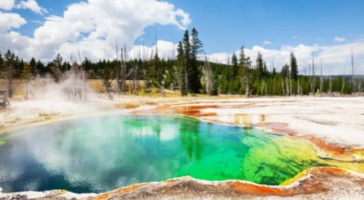 Hot springs at Yellowstone National Park