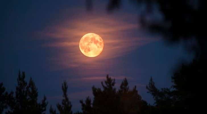 La luna del castor con algunas nubes delante de ella.
