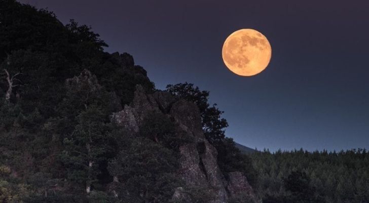 La luna del castor brilla intensamente en el cielo