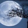 What is a Cold Moon?