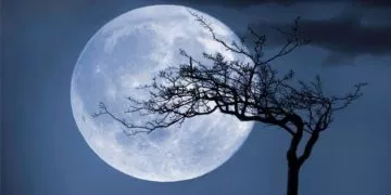 What is a Cold Moon?