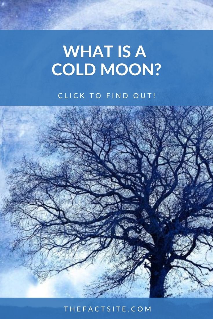 What Is A Cold Moon? The Fact Site