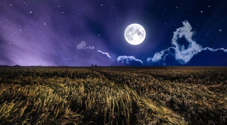 The bright Corn Moon in the sky above a corn field