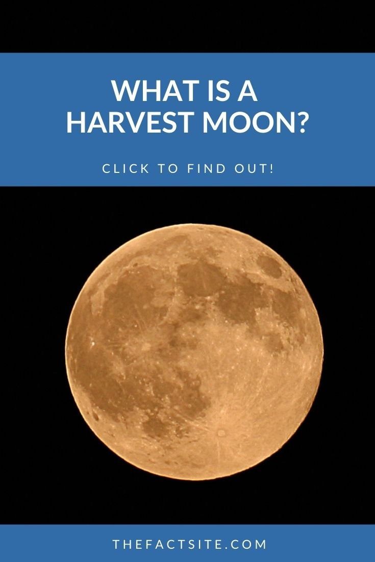What Is A Harvest Moon?