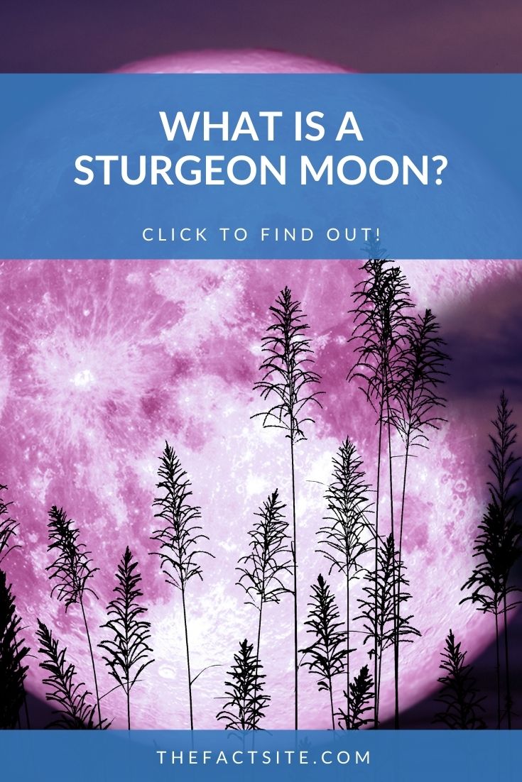 What Is A Sturgeon Moon? The Fact Site