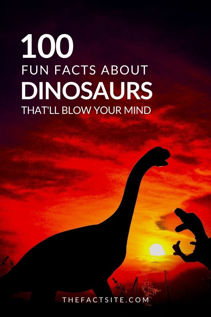 100 Fun Facts About Dinosaurs That'll Blow Your Mind
