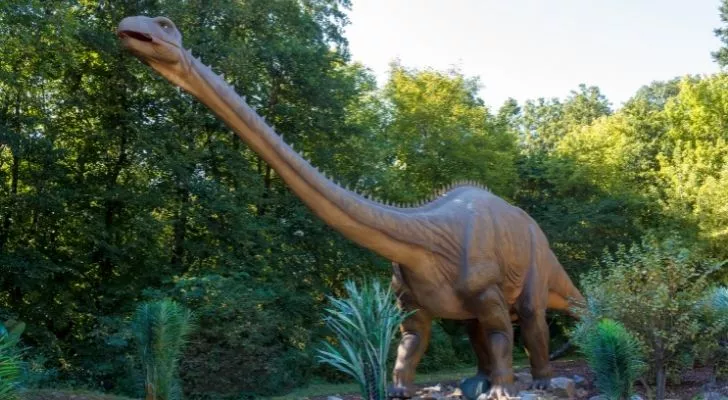 Brachiosaurus reaching high into the trees