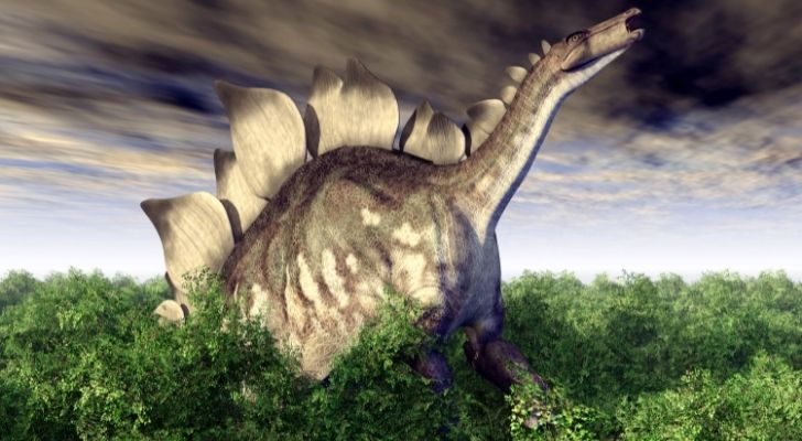The Stegosaurus is Colorado's official dinosaur