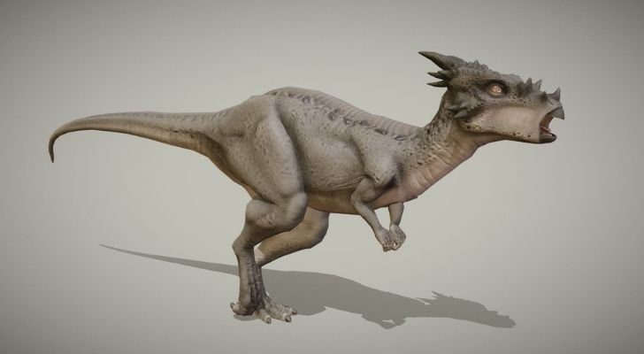 Dracorex hogwartsia