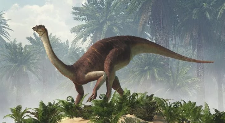 A Gallimimus dinosaur