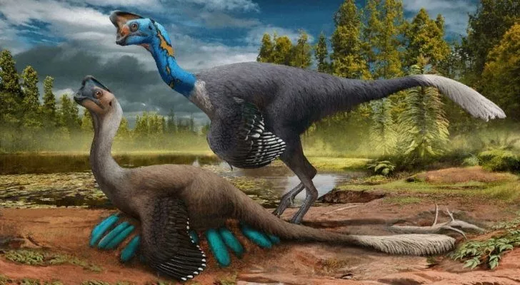 Two Oviraptors