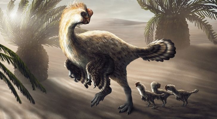 A Oviraptorosaur with her babies