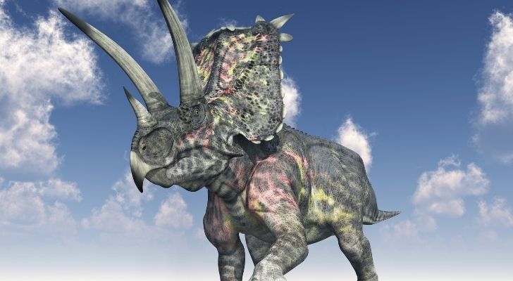 A Pentaceratop