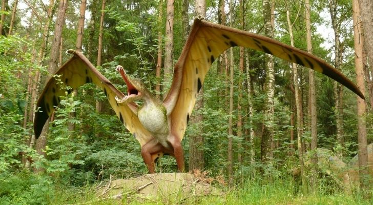 A Pterodactyl dinosaur
