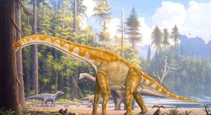 A massive Sauropod eats a lot of food