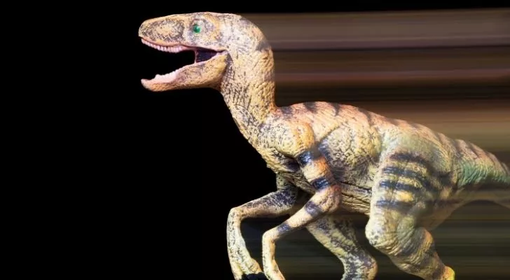 A fast velociraptor