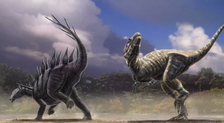 A Stegosaurus and Allosaurus fighting