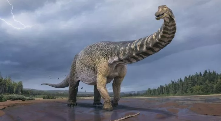 A Titanosaurus walking