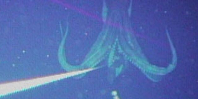 OTD in 2004: For the first time